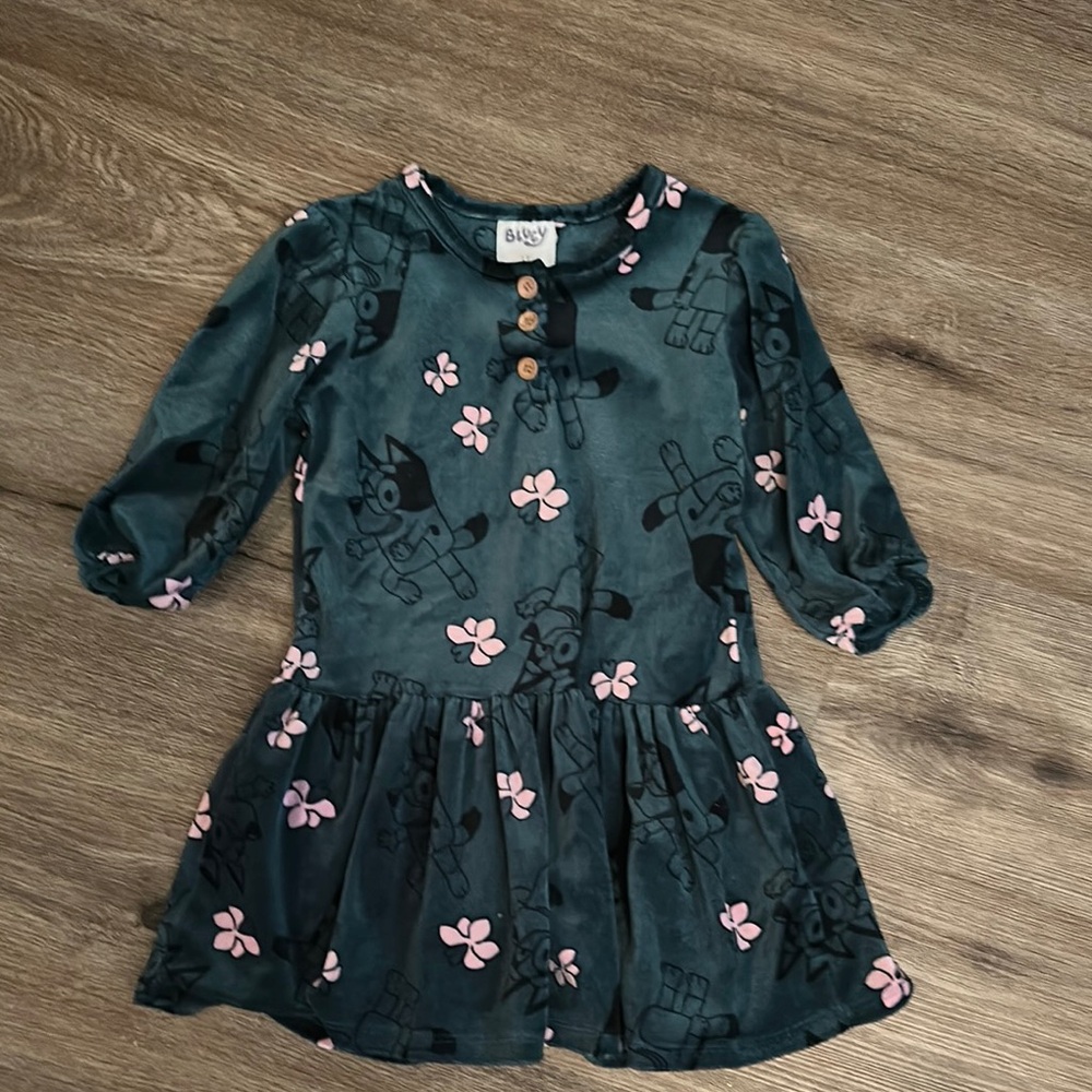 Kids Floral Print Dress - Green and Pink bluey print
